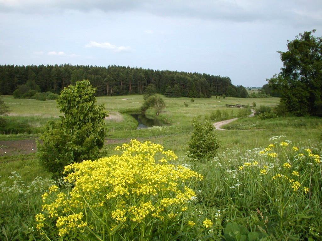 Palac Wojciechy Экстерьер фото
